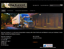 Tablet Screenshot of biglevel.net
